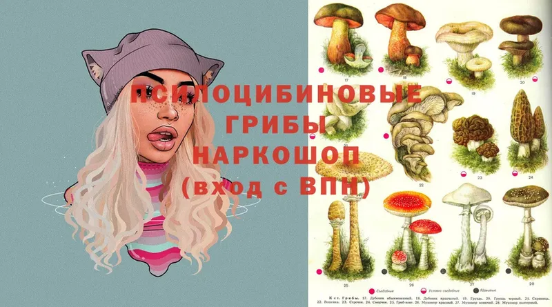 купить закладку  Инсар  Галлюциногенные грибы Cubensis 